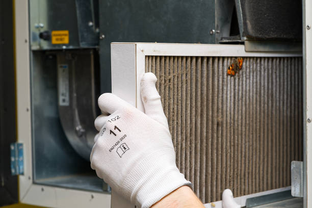 Best Air Duct Cleaning Near Me  in Pequot Lakes, MN